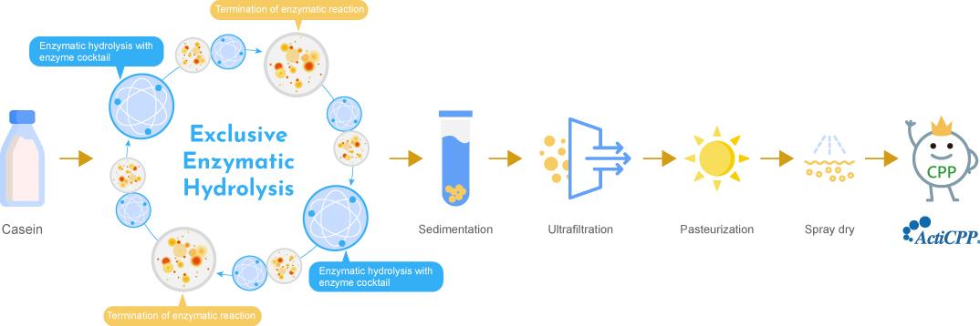 ActiCPP® is produced through exclusive hydrolysis technology.